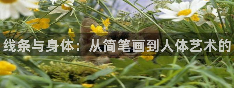 线条与身体：从简笔画到人体艺术的