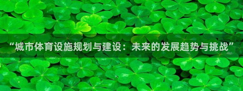 “城市体育设施规划与建设：未来的发展趋势与挑战”