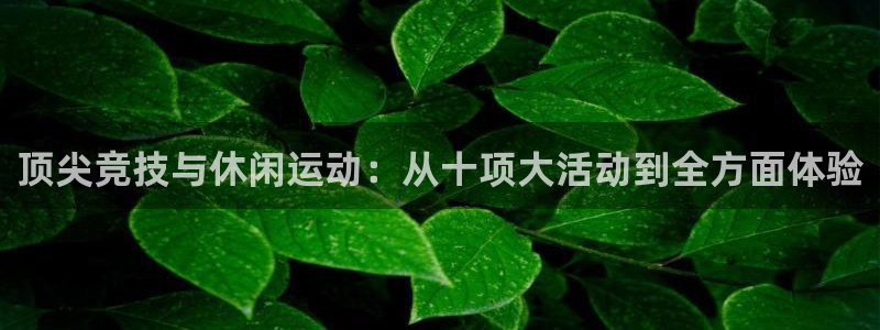 顶尖竞技与休闲运动：从十项大活动到全方面体验