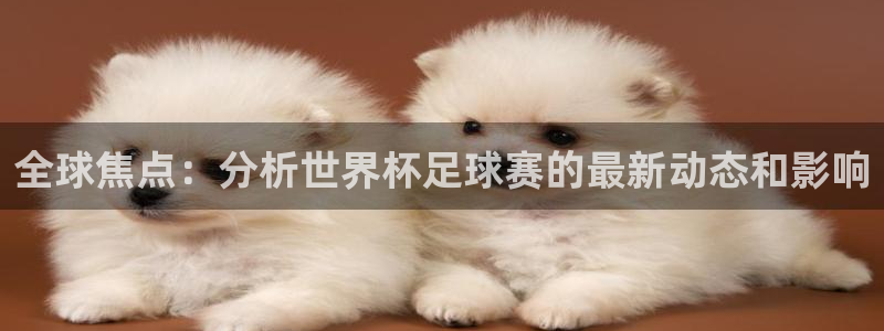 全球焦点：分析世界杯足球赛的最新动态和影响