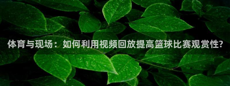 体育与现场：如何利用视频回放提高篮球比赛观赏性?