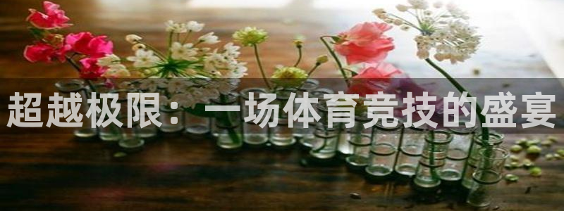 超越极限：一场体育竞技的盛宴