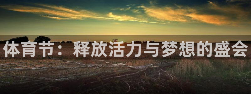 体育节：释放活力与梦想的盛会