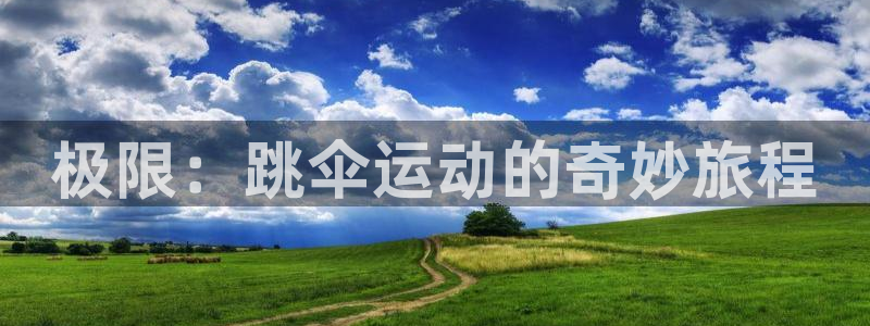 极限：跳伞运动的奇妙旅程