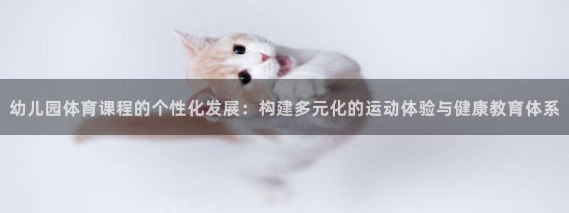 幼儿园体育课程的个性化发展：构建多元化的运动体验与健康教育体系