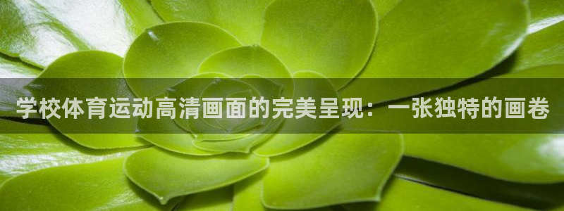 学校体育运动高清画面的完美呈现：一张独特的画卷