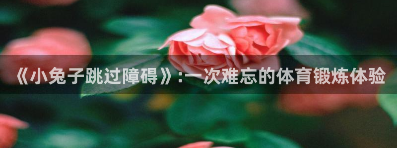 《小兔子跳过障碍》:一次难忘的体育锻炼体验