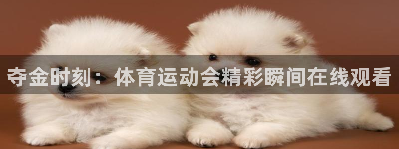 夺金时刻：体育运动会精彩瞬间在线观看