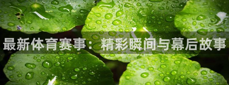 最新体育赛事：精彩瞬间与幕后故事