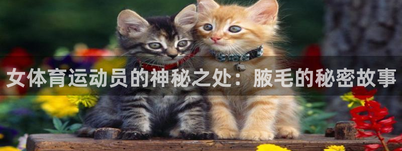 女体育运动员的神秘之处：腋毛的秘密故事