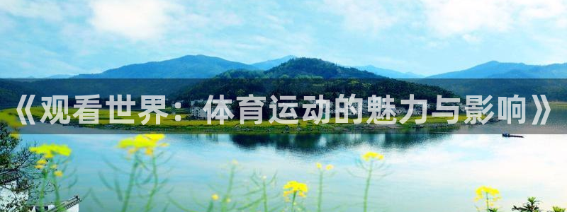 《观看世界：体育运动的魅力与影响》