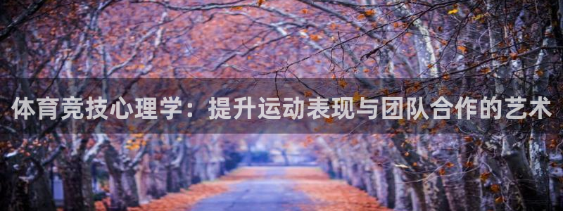 体育竞技心理学：提升运动表现与团队合作的艺术