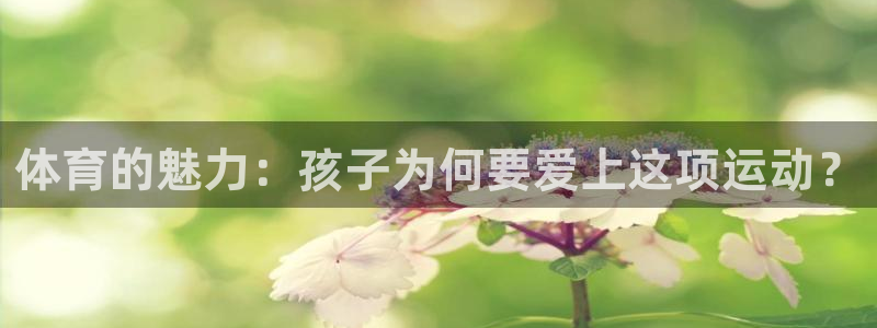 体育的魅力：孩子为何要爱上这项运动？