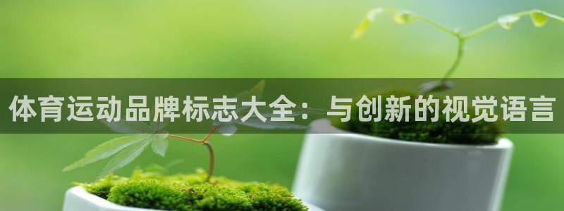 体育运动品牌标志大全：与创新的视觉语言