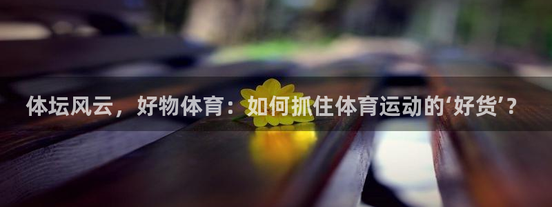 体坛风云，好物体育：如何抓住体育运动的‘好货’？