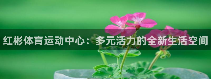 红彬体育运动中心：多元活力的全新生活空间