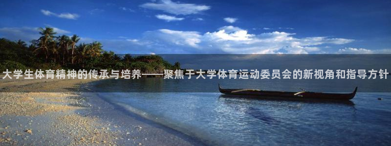 大学生体育精神的传承与培养——聚焦于大学体育运动委员会的新视角和指导方针