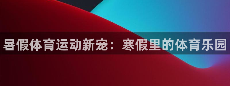 暑假体育运动新宠：寒假里的体育乐园