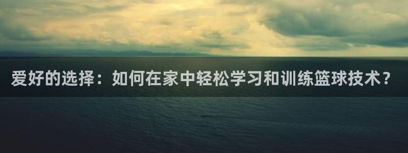 爱好的选择：如何在家中轻松学习和训练篮球技术？