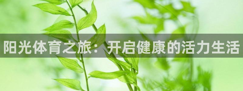 阳光体育之旅：开启健康的活力生活