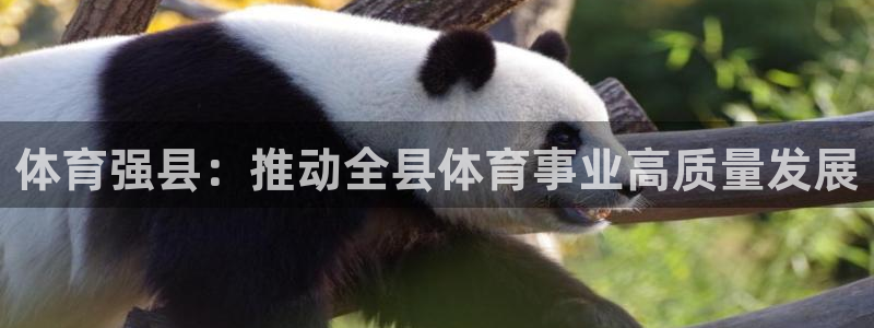 体育强县：推动全县体育事业高质量发展