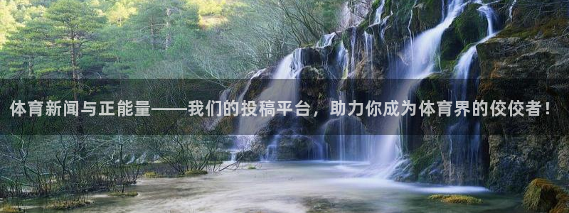 体育新闻与正能量——我们的投稿平台，助力你成为体育界的佼佼者！