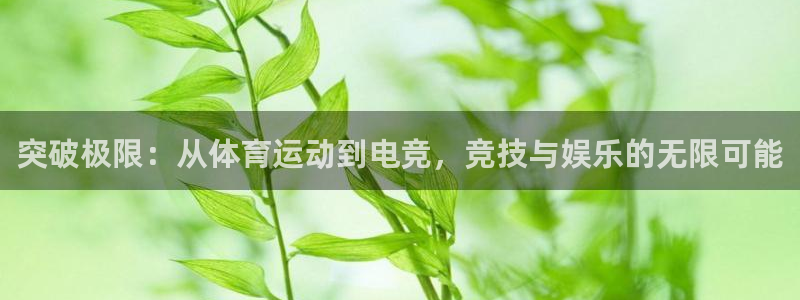 突破极限：从体育运动到电竞，竞技与娱乐的无限可能
