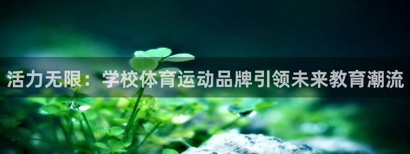 活力无限：学校体育运动品牌引领未来教育潮流