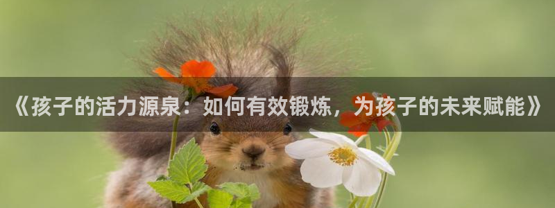 《孩子的活力源泉：如何有效锻炼，为孩子的未来赋能》