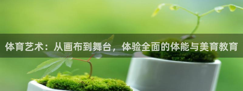 体育艺术：从画布到舞台，体验全面的体能与美育教育