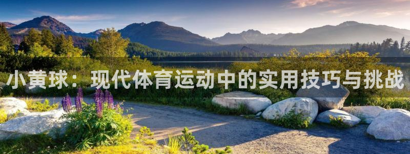 小黄球：现代体育运动中的实用技巧与挑战