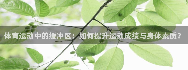 体育运动中的缓冲区：如何提升运动成绩与身体素质？