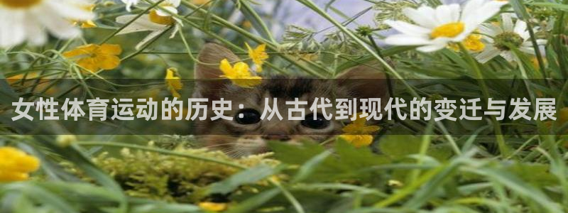 女性体育运动的历史：从古代到现代的变迁与发展
