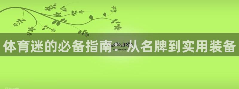 体育迷的必备指南：从名牌到实用装备
