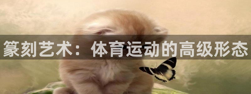 篆刻艺术：体育运动的高级形态