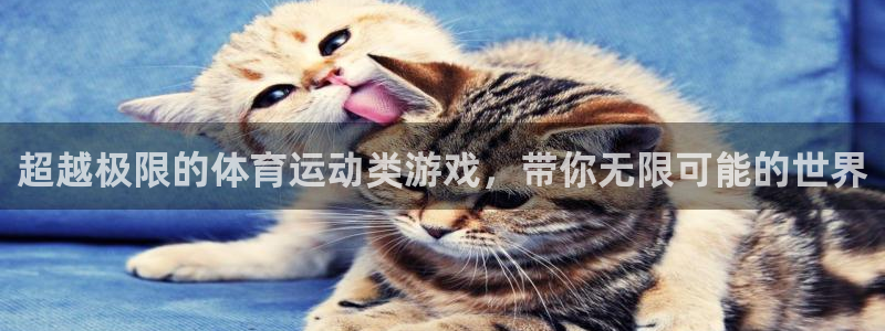 超越极限的体育运动类游戏，带你无限可能的世界