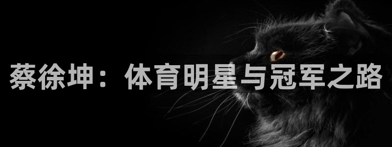 蔡徐坤：体育明星与冠军之路