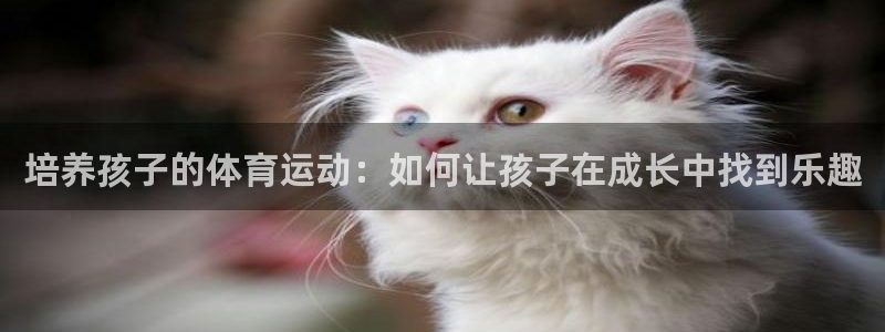 培养孩子的体育运动：如何让孩子在成长中找到乐趣