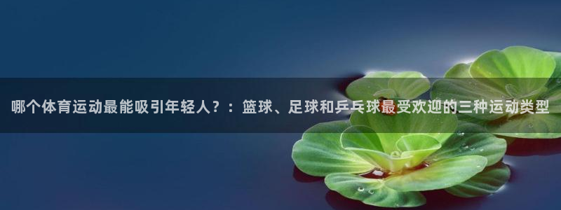 哪个体育运动最能吸引年轻人？：篮球、足球和乒乓球最受欢迎的三种运动类型
