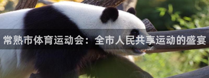 常熟市体育运动会：全市人民共享运动的盛宴