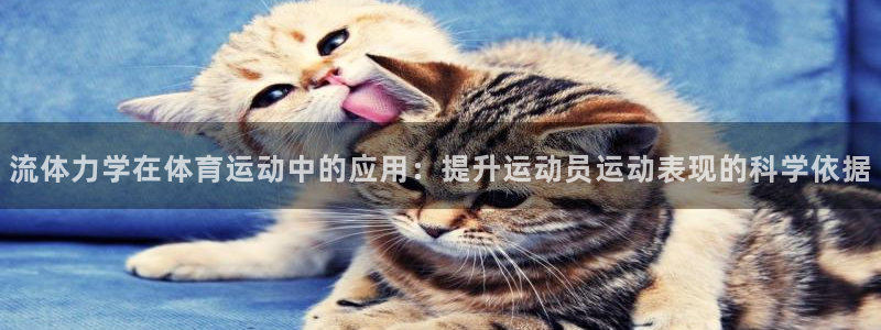 流体力学在体育运动中的应用：提升运动员运动表现的科学依据