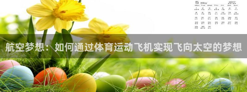 航空梦想：如何通过体育运动飞机实现飞向太空的梦想
