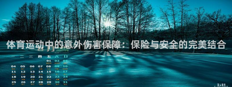 体育运动中的意外伤害保障：保险与安全的完美结合
