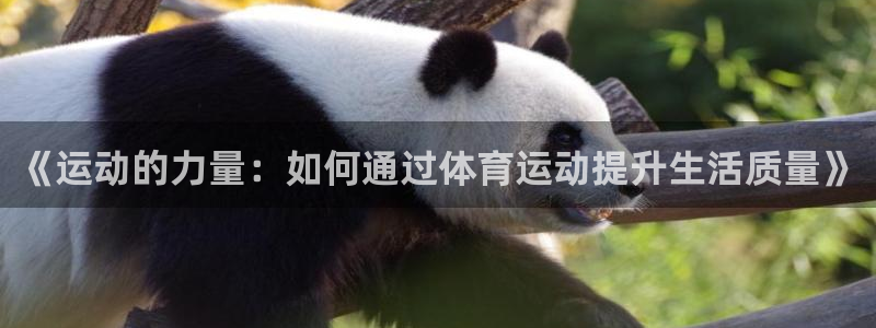 《运动的力量：如何通过体育运动提升生活质量》