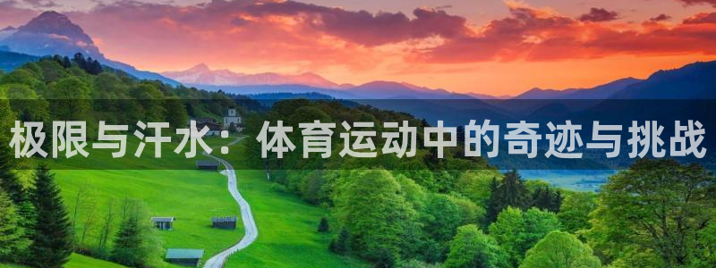 极限与汗水：体育运动中的奇迹与挑战