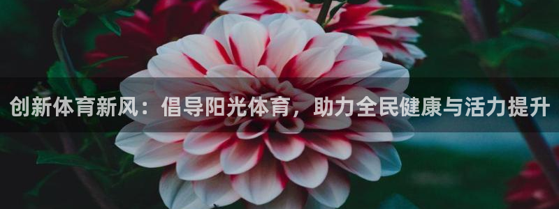 创新体育新风：倡导阳光体育，助力全民健康与活力提升