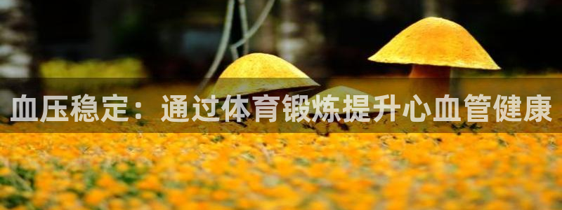 血压稳定：通过体育锻炼提升心血管健康
