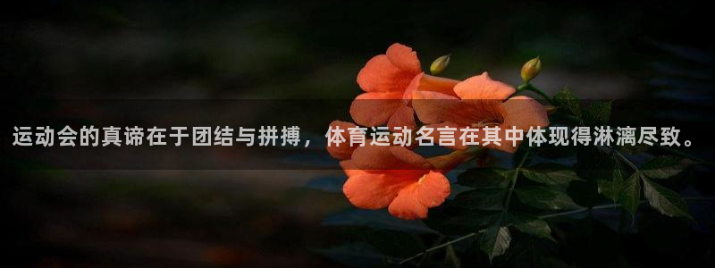 运动会的真谛在于团结与拼搏，体育运动名言在其中体现得淋漓尽致。