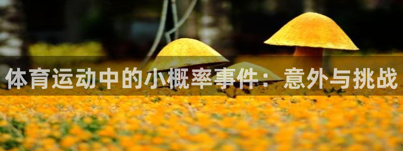 体育运动中的小概率事件：意外与挑战